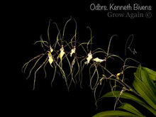 Load image into Gallery viewer, Odbrs. Kenneth Bivens