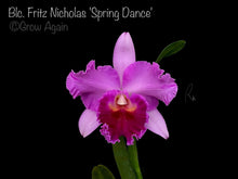 Load image into Gallery viewer, Blc. Fritz Nicholas 'Spring Dance'