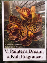 Load image into Gallery viewer, V. Huifen Chan