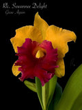 Rlc. Suwannee Delight