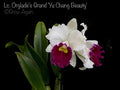Lc. Orglade's Grand