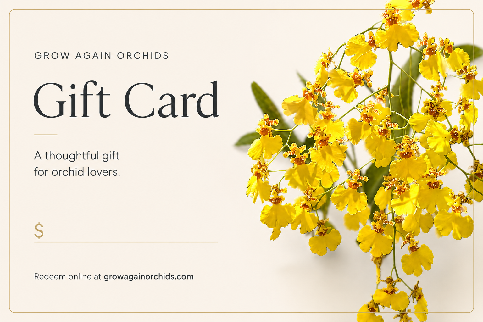 Grow Again Orchid Gift Card