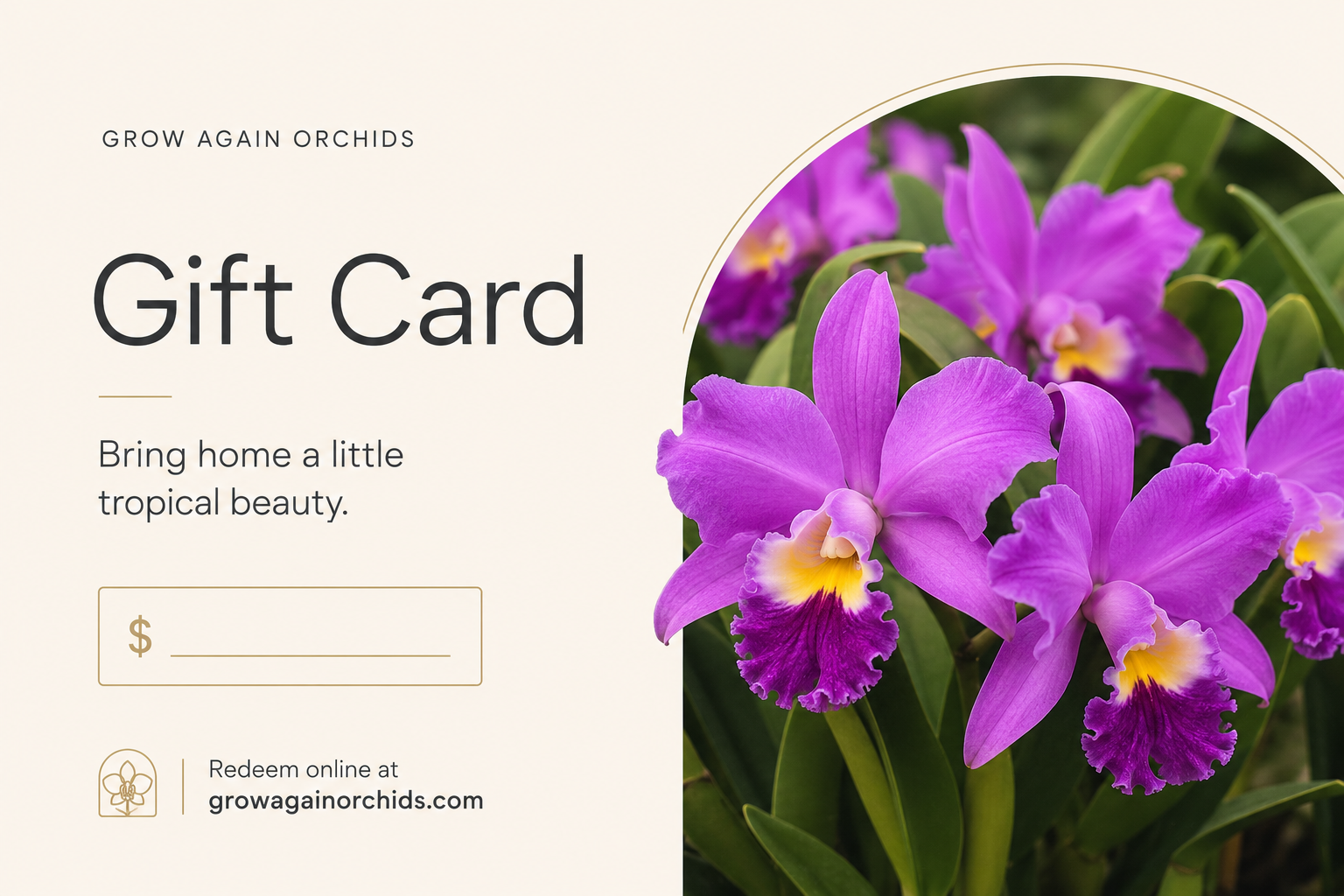 Grow Again Orchid Gift Card