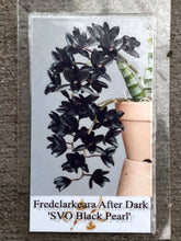 Load image into Gallery viewer, Ctsm. Fdk After Dark &#39;SVO Black Pearl&#39;
