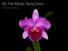 Load image into Gallery viewer, Blc. Fritz Nicholas &#39;Spring Dance&#39;
